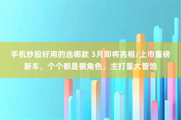 手机炒股好用的选哪款 3月即将亮相/上市重磅新车，个个都是狠角色，主打量大管饱