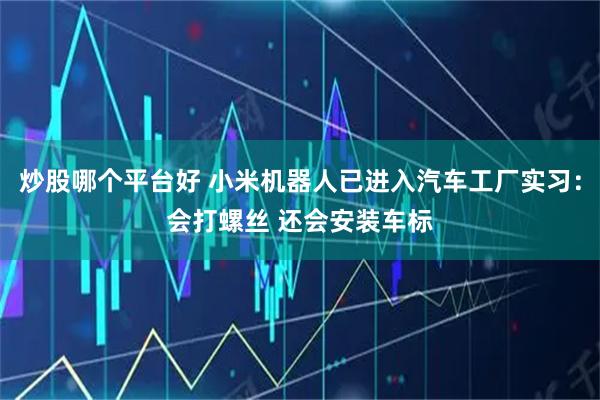 炒股哪个平台好 小米机器人已进入汽车工厂实习：会打螺丝 还会安装车标