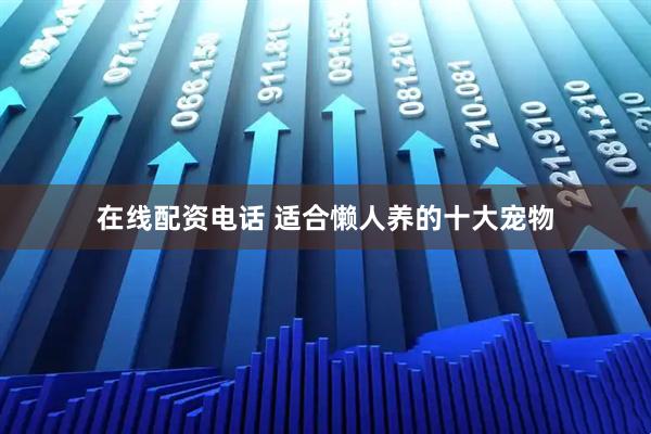 在线配资电话 适合懒人养的十大宠物